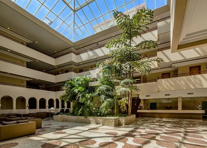 루나 다 오우라 알부페이라